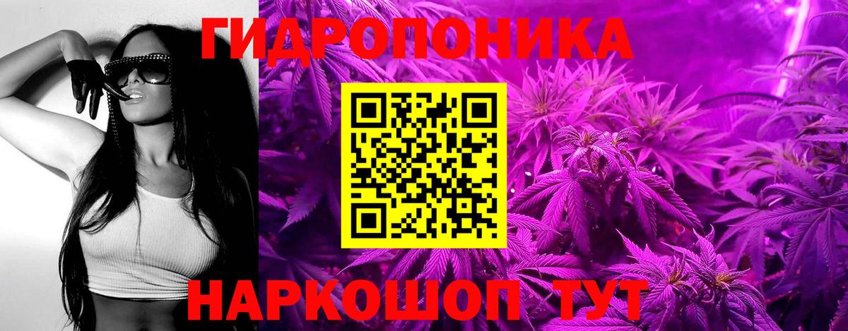 Канабис VHQ  Бошки Шишки OG Kush  Пушкино  Вход с VPN  Канабис семена 